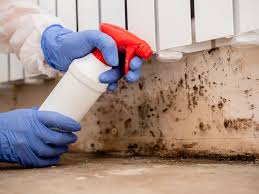 Environmental Consulting for Mold Prevention in Ojai, CA